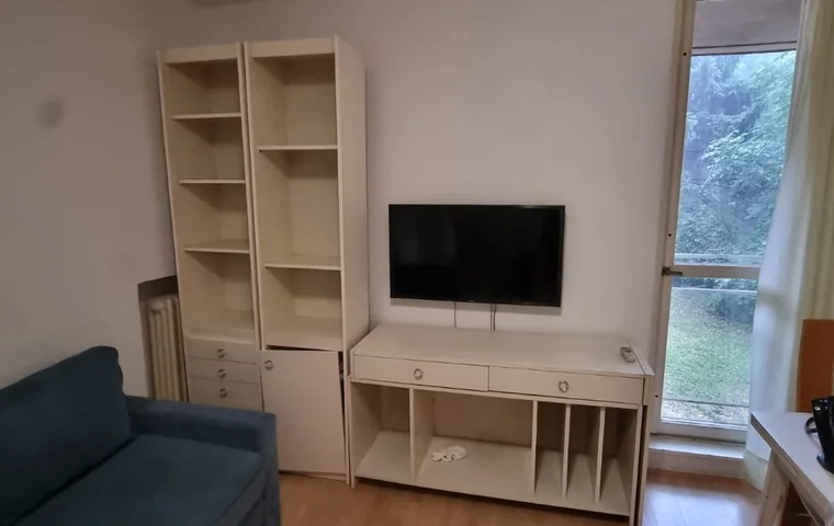 Demontaža i odnošenje nameštaja Banovo brdo